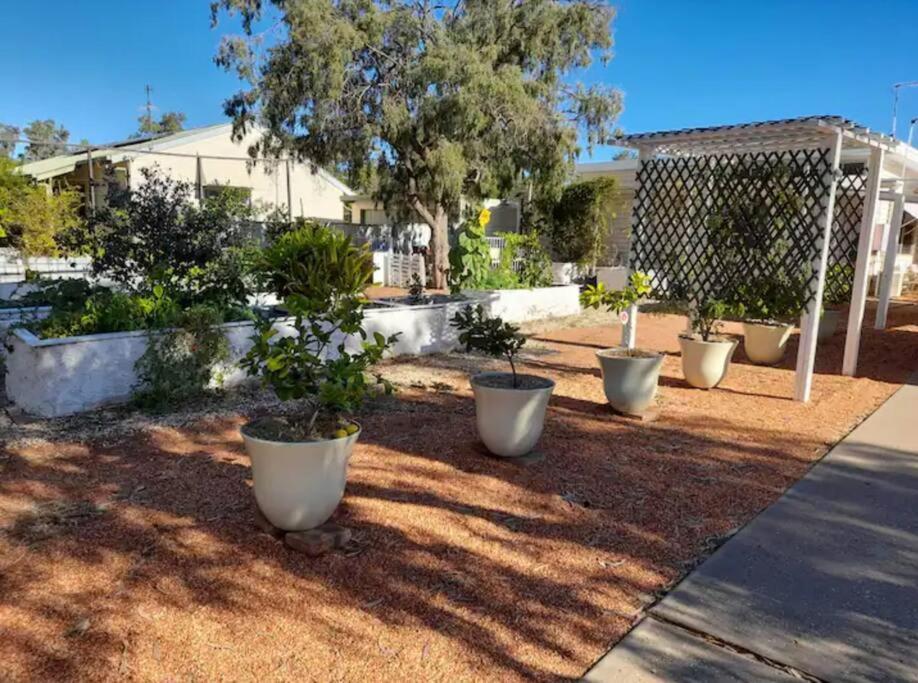 Lavender Cottage - At Home In Lightning Ridge Esterno foto